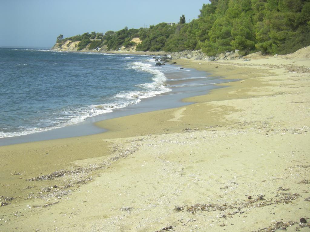 Willa Stone House Andromeda Psakoudia Zewnętrze zdjęcie